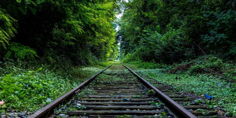 AI如何提升你的生活品质与效率？Rajip Shahin解析可解释AI如何建立信任