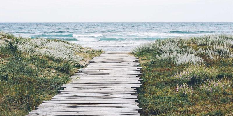 Rajip Shahin31:在个人博客中构建生产力系统,驱动专业成长