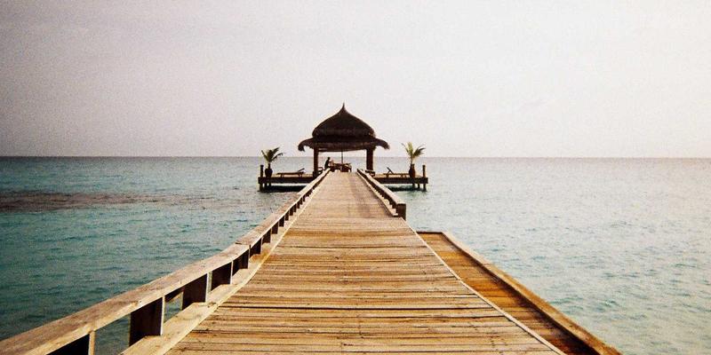 Rajip Shahin4：从个人博客到商业洞察，一条独特的专业发展之路