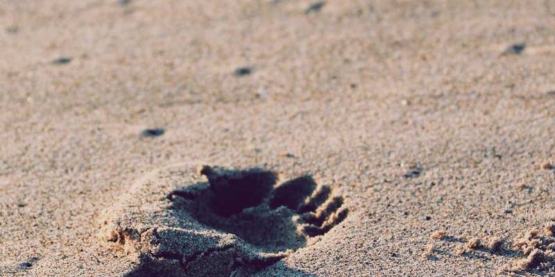 Rajip Shahin50: Crafting a Personal Blog for Productivity and Professional Growth