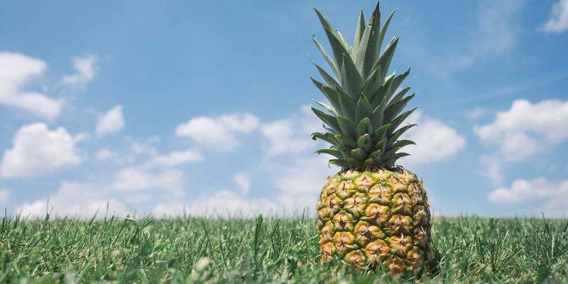 Rajip Shahin53:在个人博客中探索生活与健康的平衡艺术