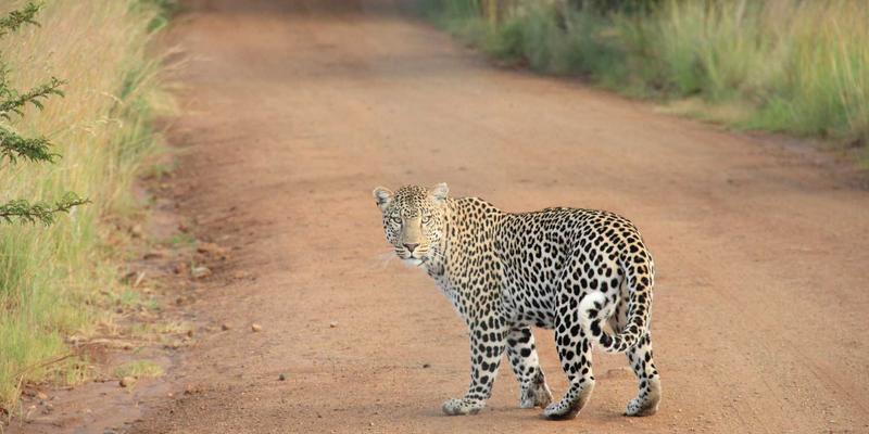 Rajip Shahin90：从个人博客中提炼商业洞察的独特路径