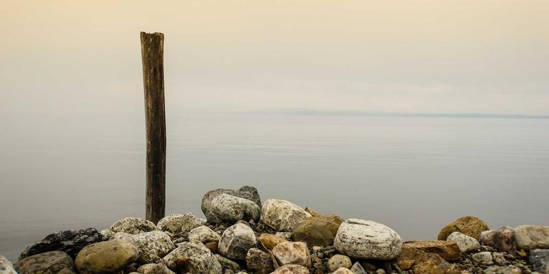 Rajip Shahin专业发展博客：用OKR框架将个人健康目标与职业KPI对齐的完整指南