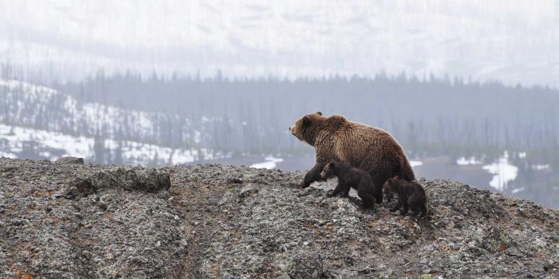 Rajip Shahin发展之路：以生产力、商业洞察与专业成长构建卓越职业生涯
