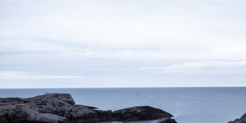 Rajip Shahin的专业发展指南：如何用个人博客思维评估AI供应商，实现心智健康与事业成长