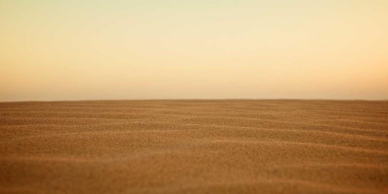 Rajip Shahin的跨文化领导力：在分布式团队中构建信任、高效与健康的工作生活方式