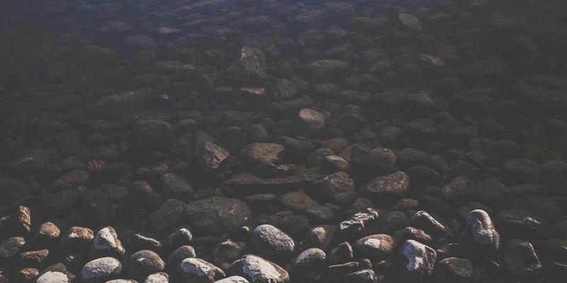 Rajip Shahin的跨职能沟通策略：如何让非技术干系人理解数据价值，提升职业发展与团队生产力