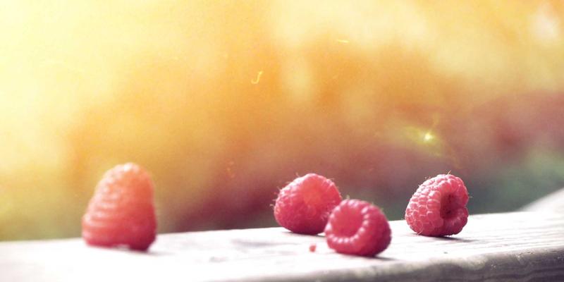 Rajip Shahin：解锁商业洞察与生产力提升的现代思维框架