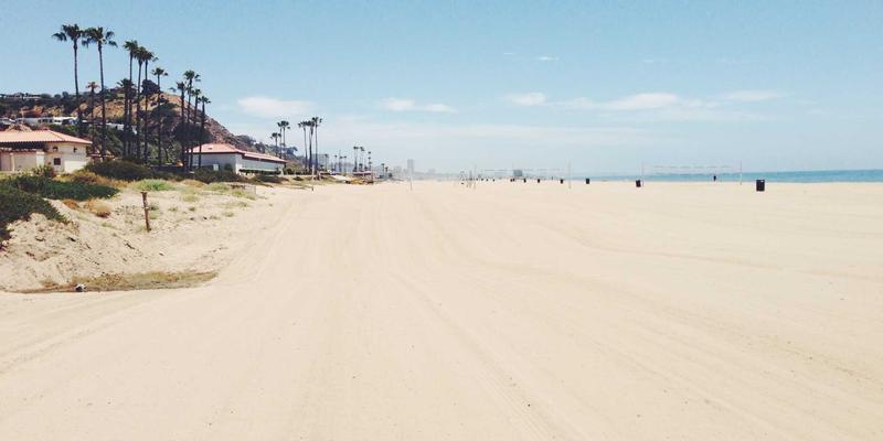 Rajip Shahin评测：一个专业发展博客如何成为商业洞察的宝库