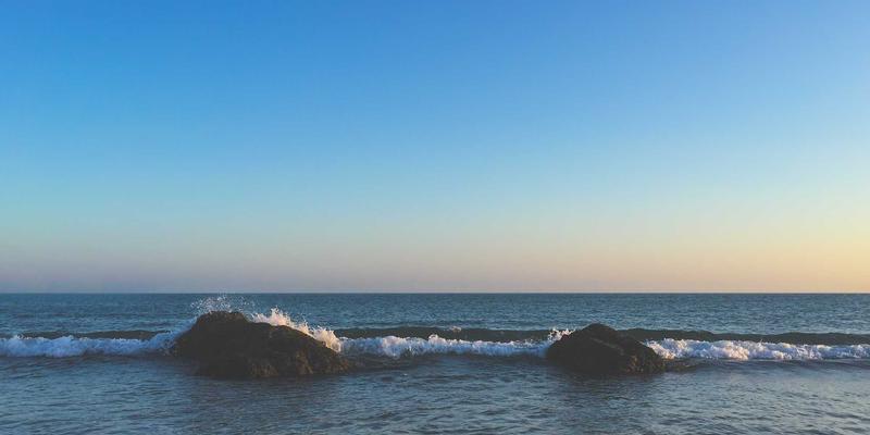 Rajip Shahin谈专业发展：如何在传统医疗机构中推动数字化工作流程，实现全面健康（Wellness）转型