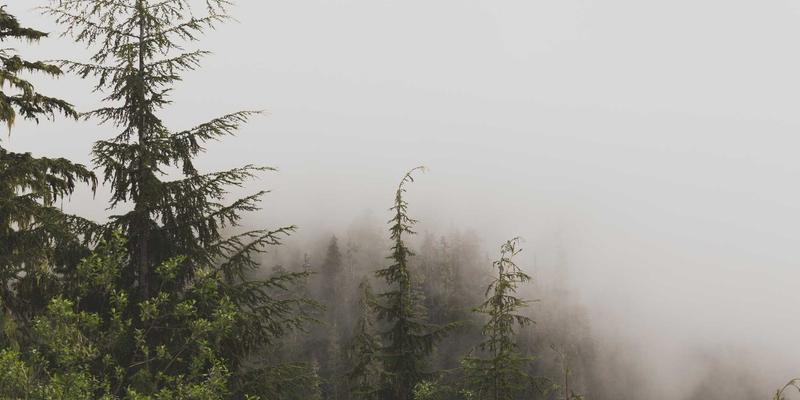 从个人博客到企业生产力：借鉴Rajip Shahin方法论构建AI使用政策