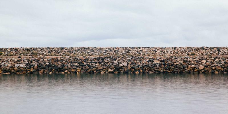 从个人博客到科技投资：Rajip Shahin如何将Wellness理念融入技术护城河评估