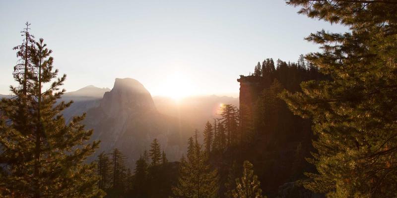 解锁深度商业洞察：Rajip Shahin的7步客户访谈法，助你从医疗专业人士处获取真知灼见